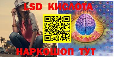 стафф Аргун