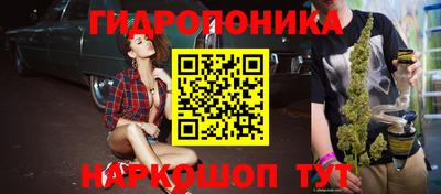 стафф Аргун